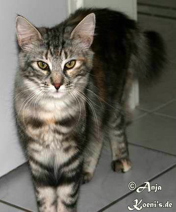 copyright: Fam. Kern