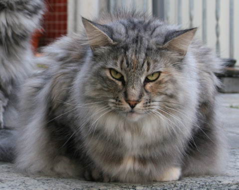 copyright: Michael & Heidi