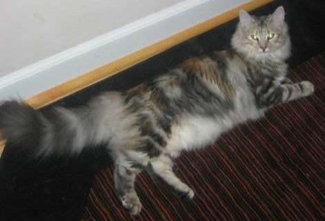 copyright: Barbara Merola