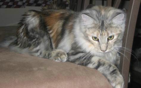 copyright: Barbara Merola