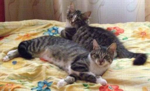 copyright: Katharina