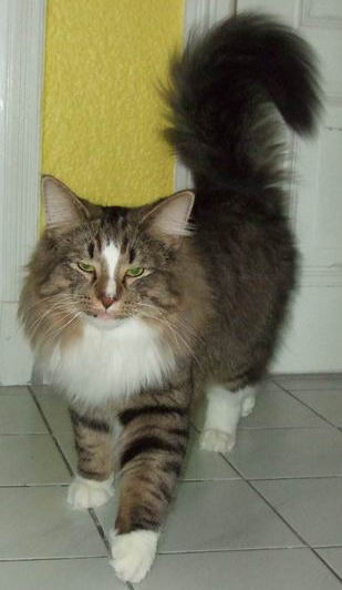 copyright: Katharina