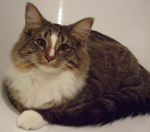 copyright: Katharina