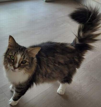 copyright: Katharina