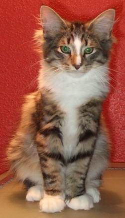 copyright: Katharina