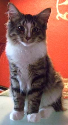 copyright: Katharina