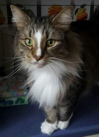 copyright: Katharina