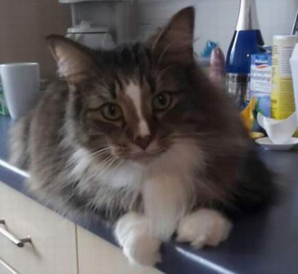 copyright: Katharina