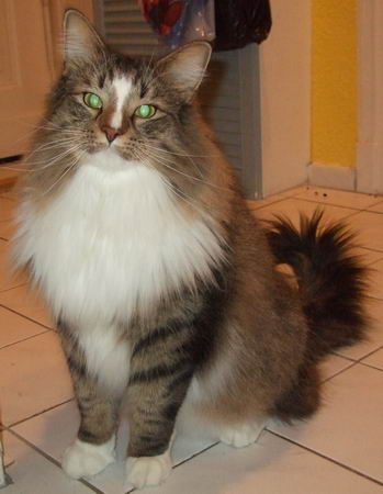 copyright: Katharina