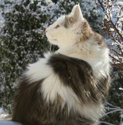 copyright: Gaby Gcke