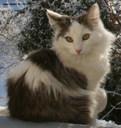 copyright: Gaby Gcke