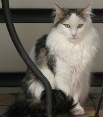 copyright: Gaby Gcke