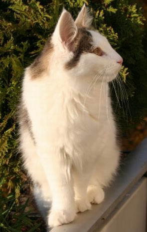 copyright: Gaby Gcke