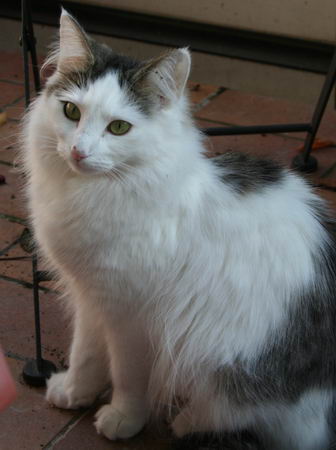 copyright: Gaby Gcke