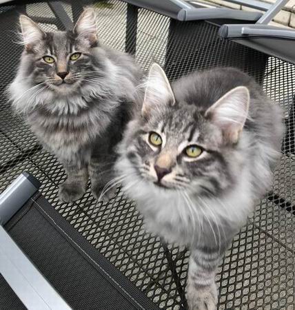 copyright: Fam. Stutzinger