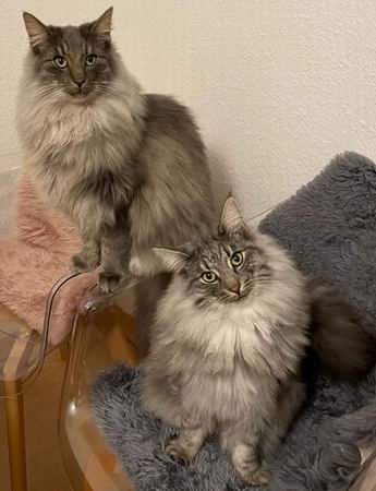 copyright: Fam. Stutzinger