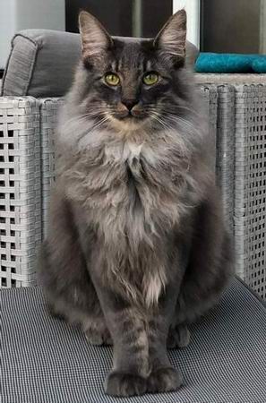 copyright: Fam. Stutzinger