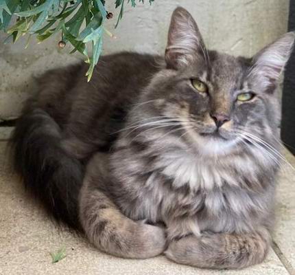 copyright: Fam. Stutzinger