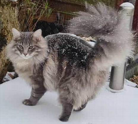 Copyright: Familie Berger