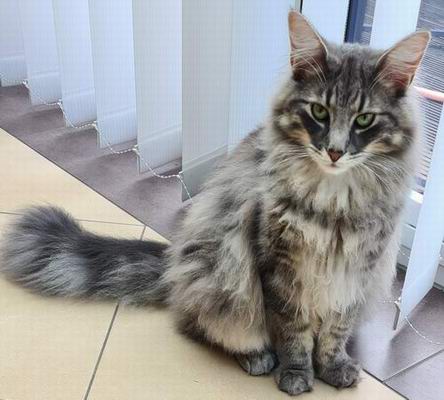 Copyright: Familie Berger