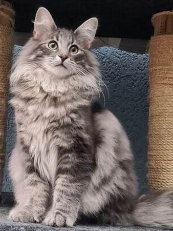 Copyright: Familie Berger