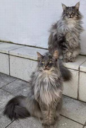 copyright: Fam. Stutzinger