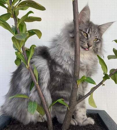 copyright: Fam. Stutzinger