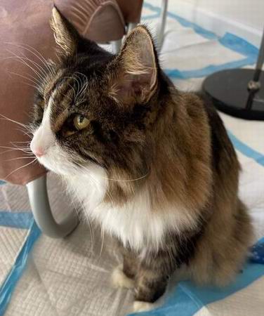 copyright: Bruce & Reiko