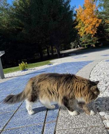 copyright: Bruce & Reiko