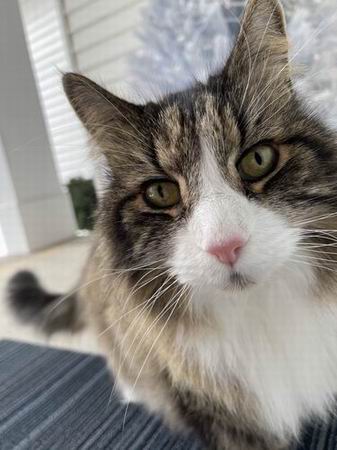 copyright: Bruce & Reiko