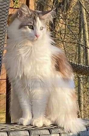 copyright: Fr. Reiser