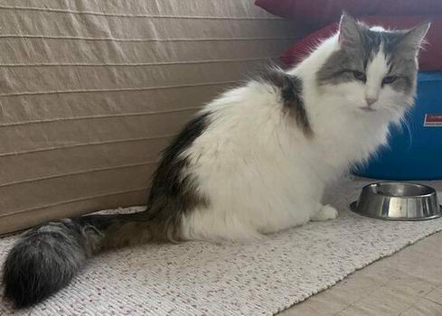 copyright: Carla Machado