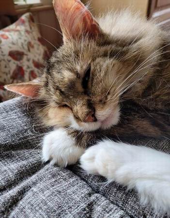 copyright: Fam. van Buer