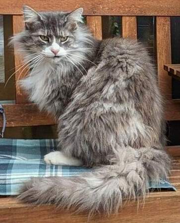 copyright: Robert & Claudia