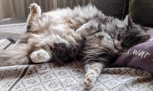 copyright: Robert & Claudia