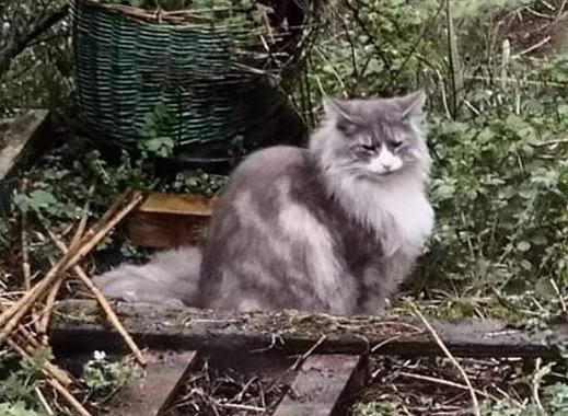 copyright: Robert & Claudia