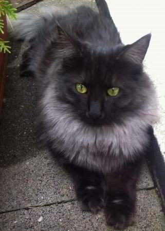 copyright: Nicole & Stefan