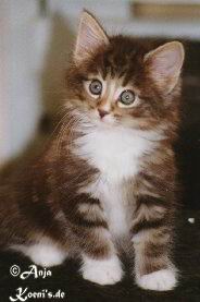 Lucky Surprise - 6 Wochen alt