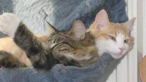 copyright: Rainer & Marion