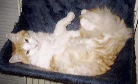 copyright: Rainer & Marion