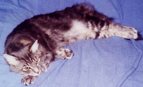 copyright: Fam. Frisch