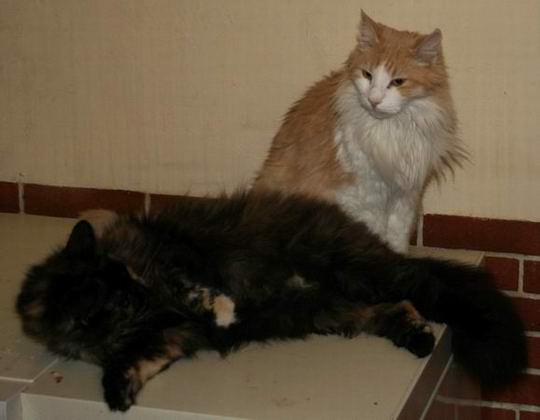 copyright: Rainer & Marion