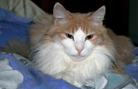 copyright: Rainer & Marion