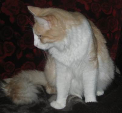 copyright: Rainer & Marion