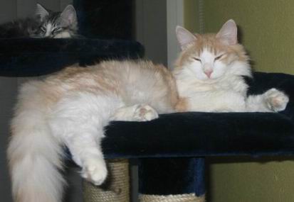 copyright: Rainer & Marion