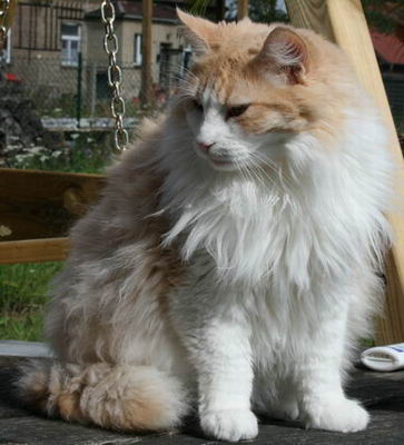 copyright: Rainer & Marion