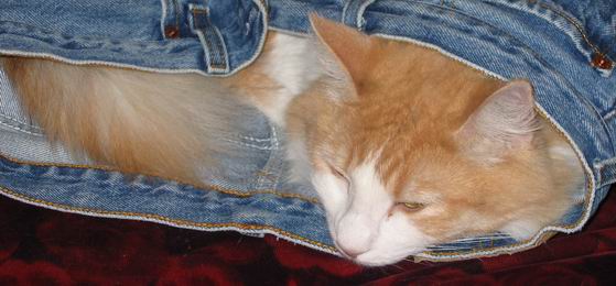 copyright: Rainer & Marion