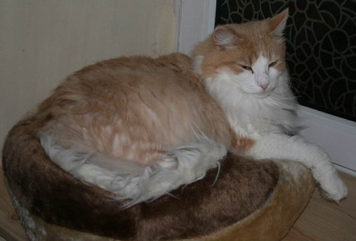 copyright: Rainer & Marion