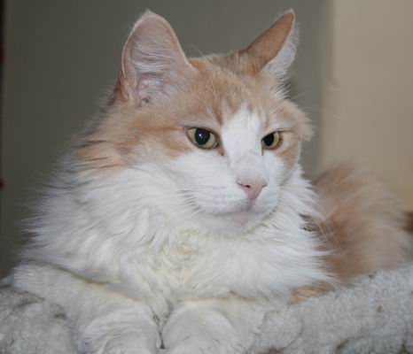 copyright: Rainer & Marion