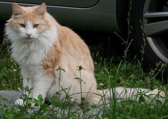 copyright: Rainer & Marion